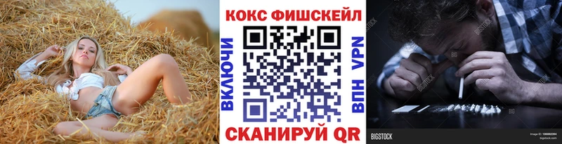 хочу Нюрба COCAIN Fish Scale