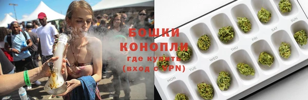 гидра Наволоки