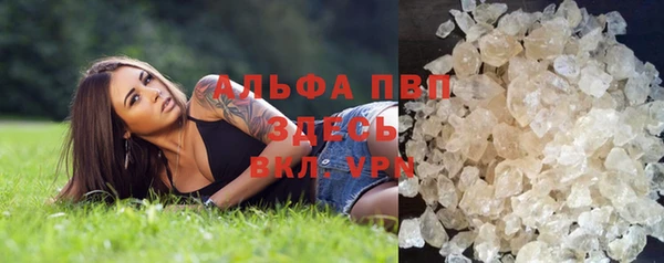 гидра Наволоки
